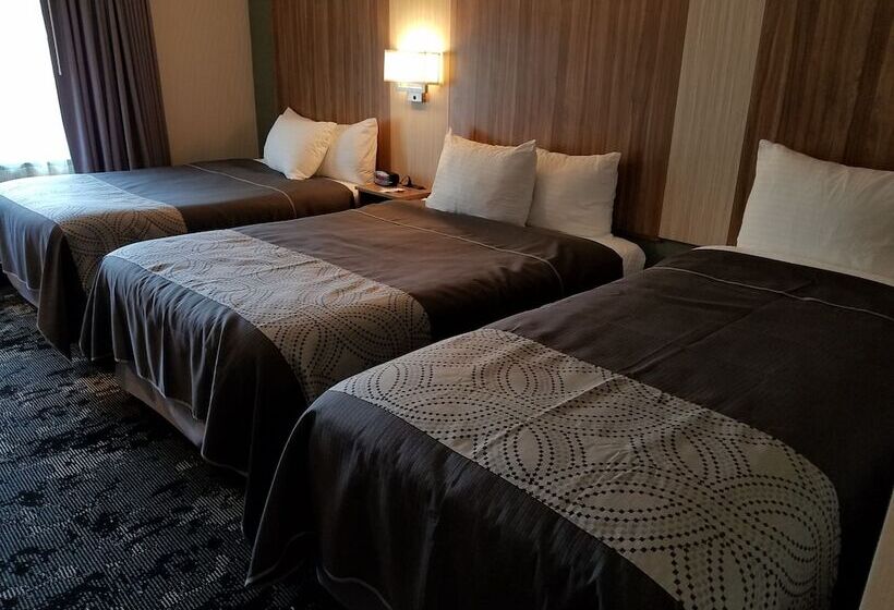 مُتل Aartpark Hotel Inn At Lewsiton