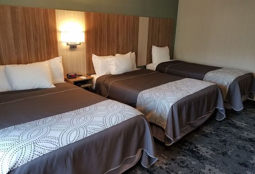 مُتل Aartpark Hotel Inn At Lewsiton