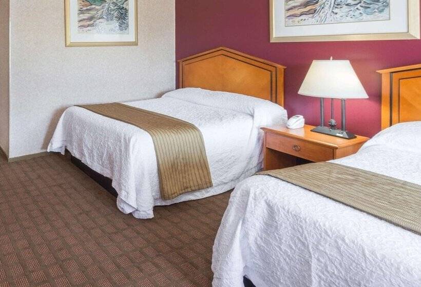 Мотель Elite Inn