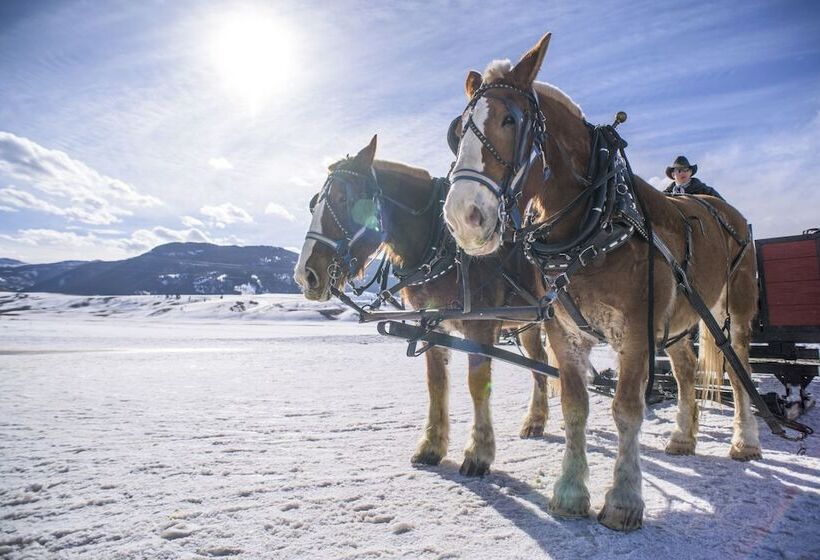 Отель Mountain Modern Jackson Hole