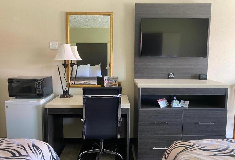 Regency 7 Motel