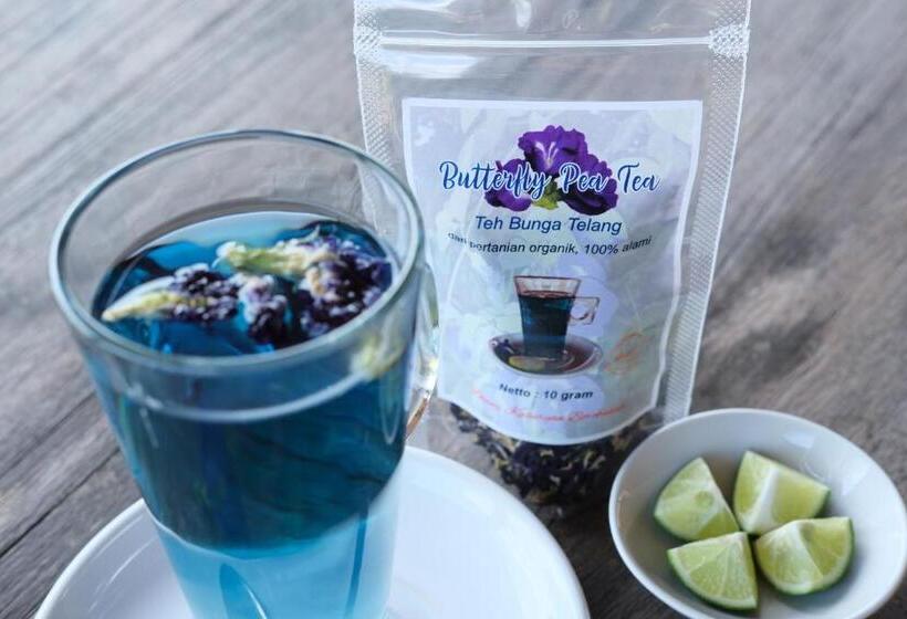 پانسیون Bhumi Kasuryan Borobudur