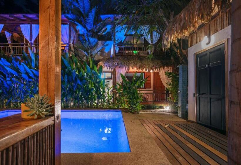 Black Bamboo B&b