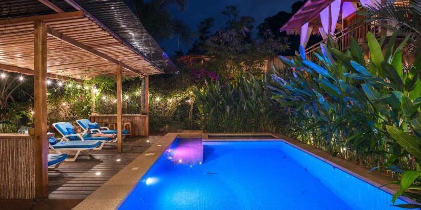 Black Bamboo B&b