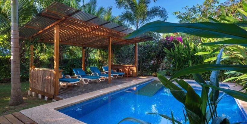 Black Bamboo B&b
