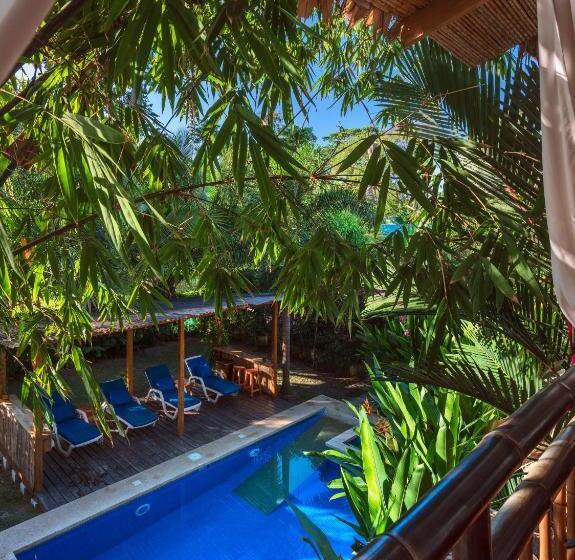 Black Bamboo B&b