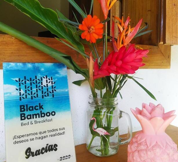 Black Bamboo B&b