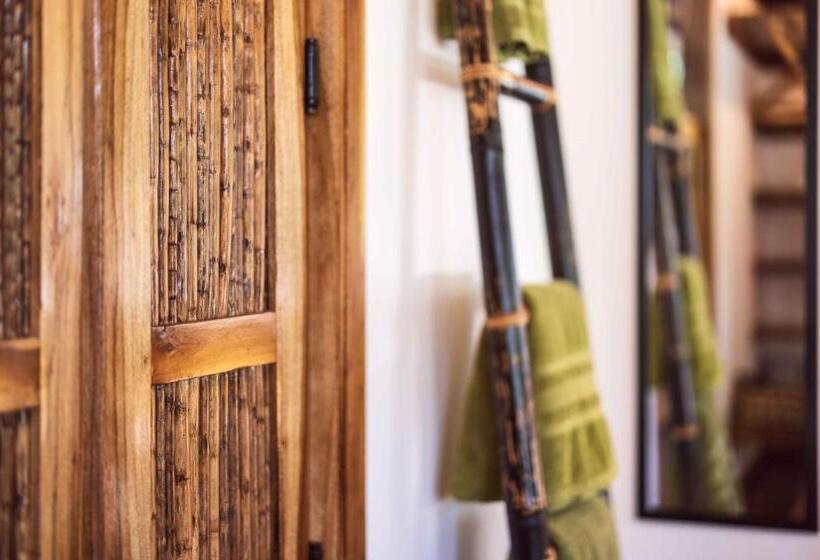 Black Bamboo B&b