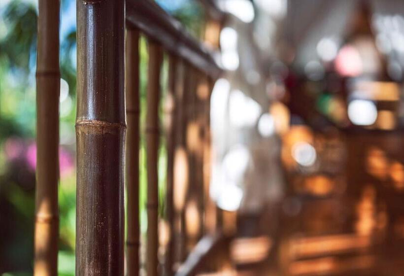 Black Bamboo B&b