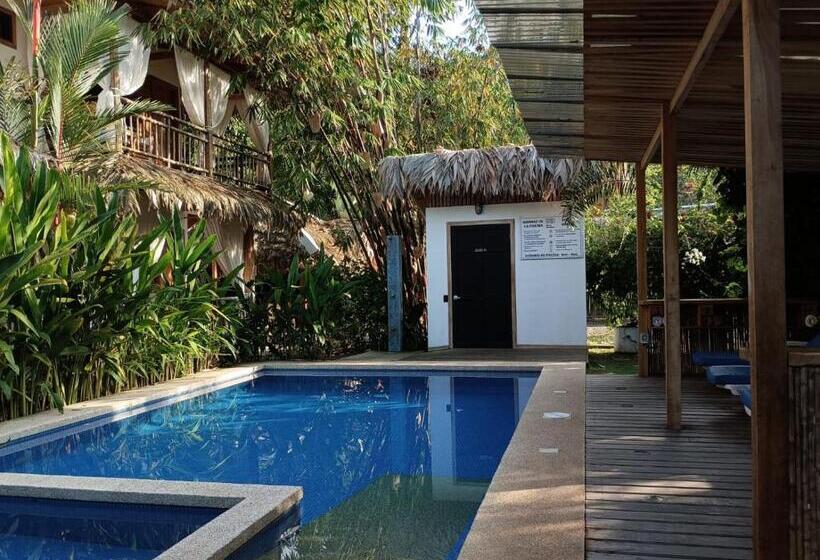 Black Bamboo B&b