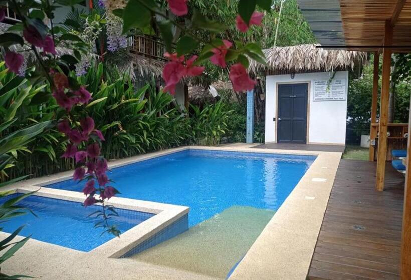 Black Bamboo B&b