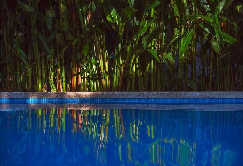 Black Bamboo B&b