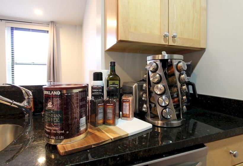 Luxury & Stylish 1br/1ba In Boston South End   Bu Medical