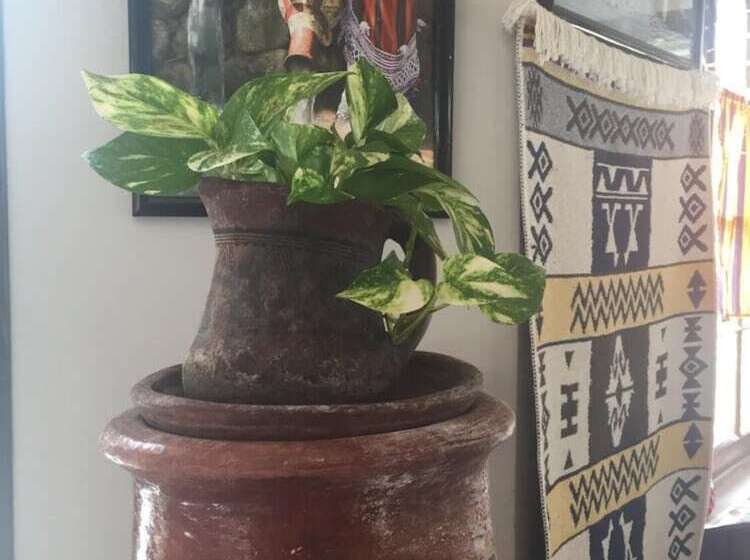 פנסיון L Atlas