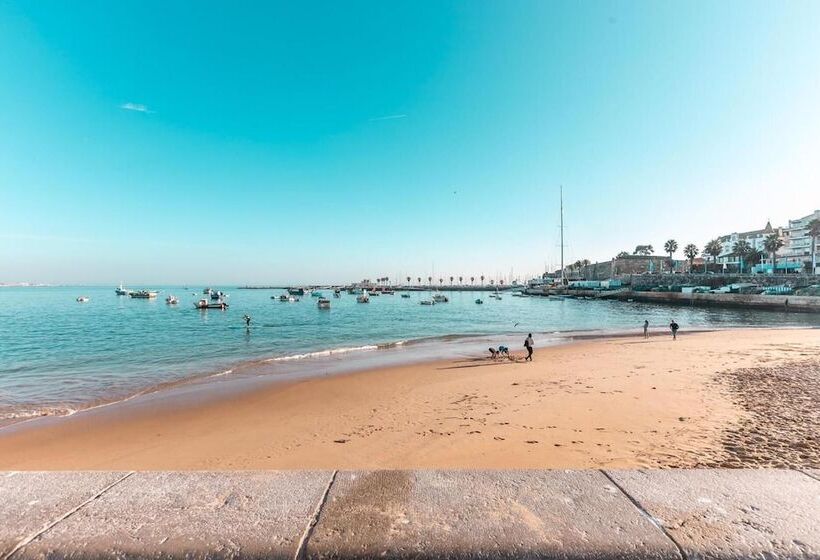 پانسیون Wine Inn Cascais Guesthouse