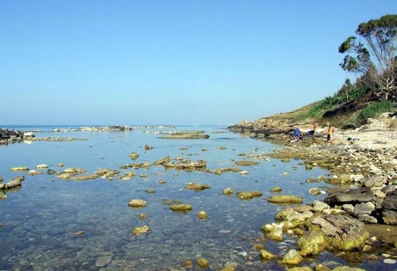 ベッドアンドブレックファースト La Terrazza Sul Mar Mediterraneo