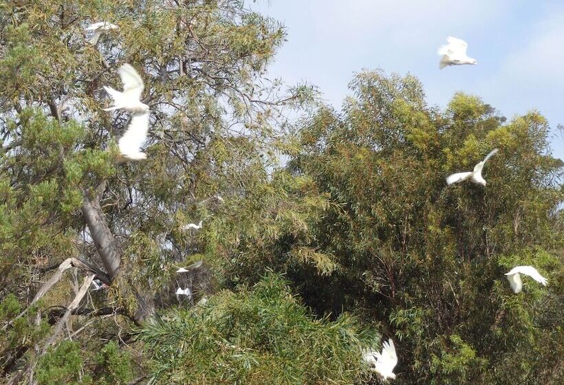 Gilligan S Kangaroo Island