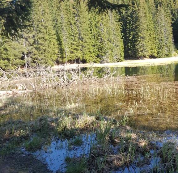 Hotell семеен хотел кристал