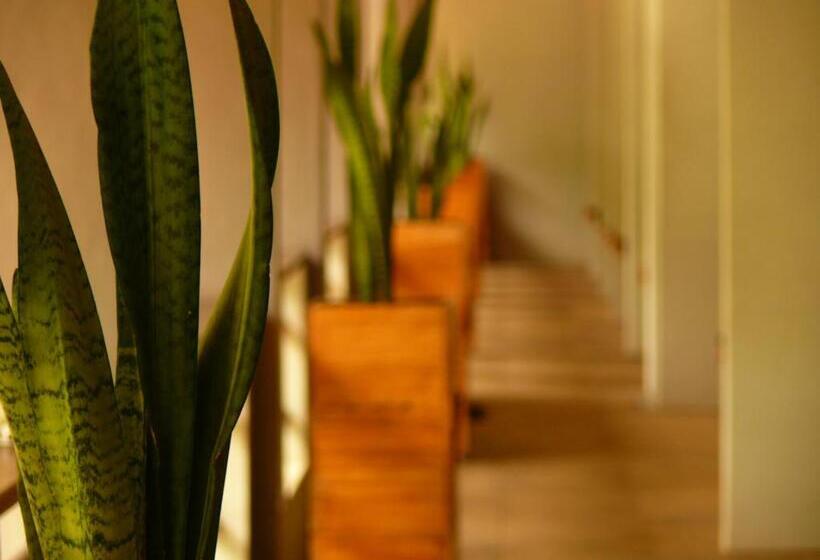 هتل Javacove Beach