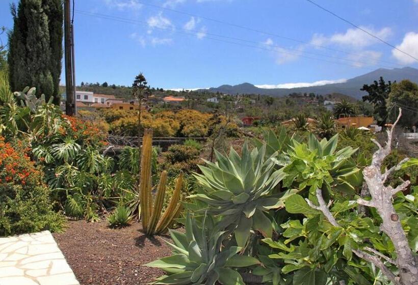 Jardin De Aridane