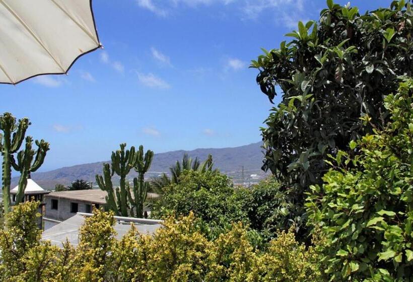 Jardin De Aridane