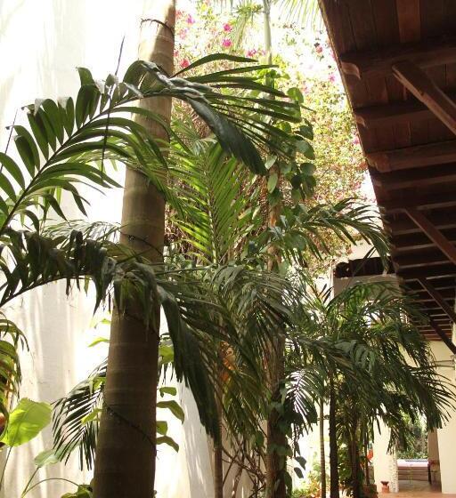 هتل Casa Del Tejadillo