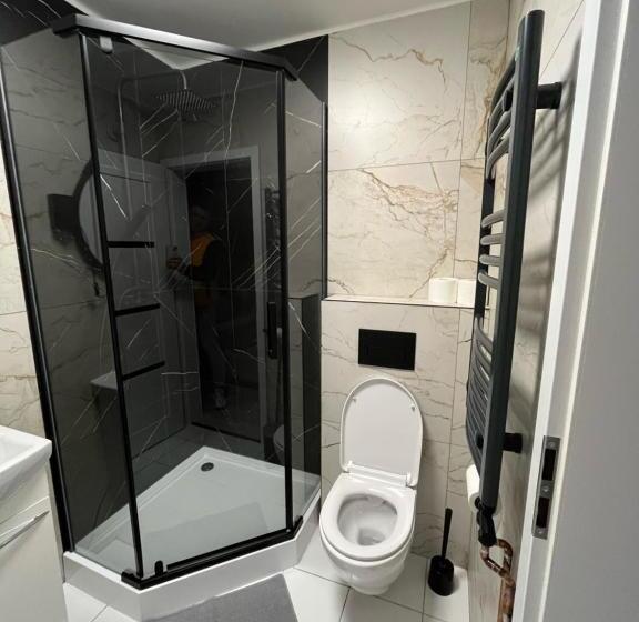 Fotos del hotel Pokoje Goscinne Wislna:  6