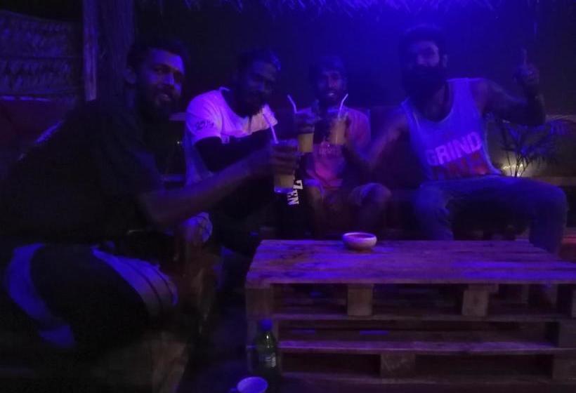 Общежитие Tree House Cafe Ella