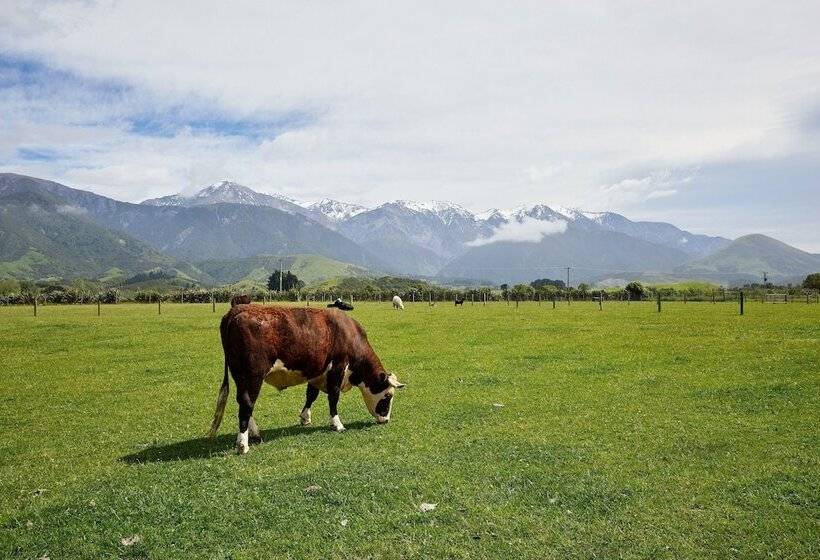 هتل Awatea Country Bed & Breakfast