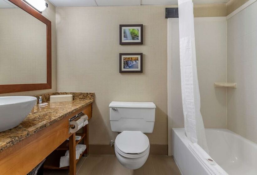 Отель Comfort Inn & Suites Glen Mills West Chester