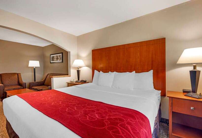 فندق Comfort Suites North Dallas