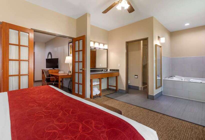 호텔 Comfort Suites North Dallas