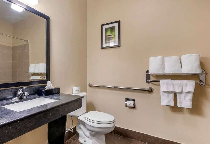 هتل Comfort Suites North Dallas