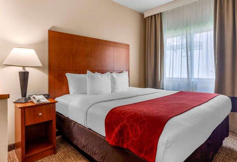 هتل Comfort Suites North Dallas