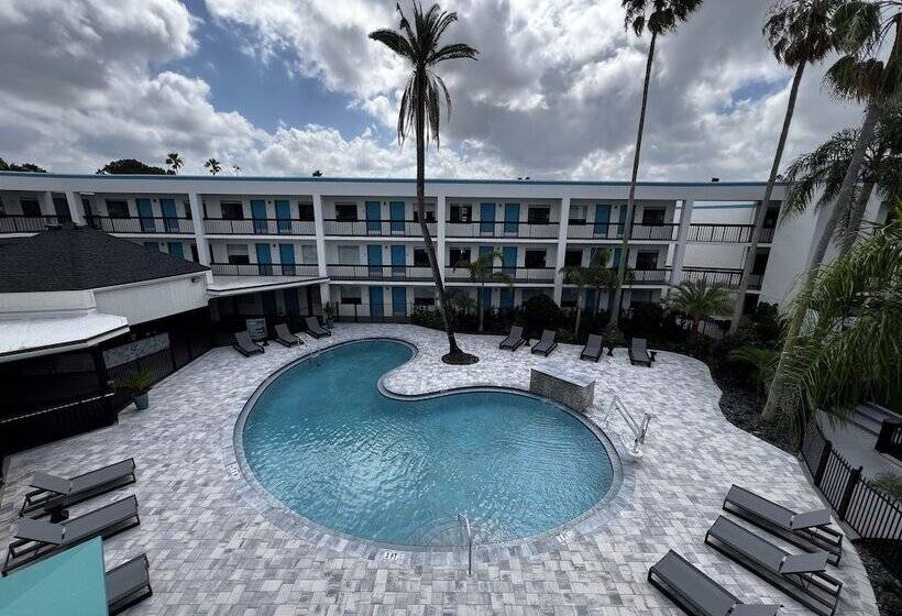 Отель Oasis Bay Suites, Tampa, Busch Gardens, Usf