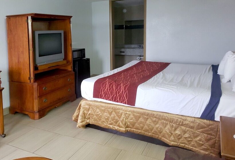 ホテル Usa Inn