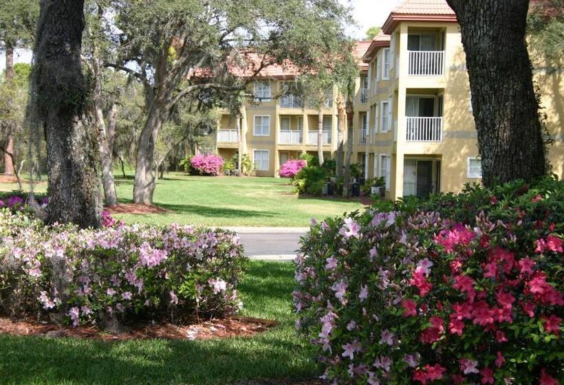 Fotos del hotel Parc Corniche Condominium Suites:  15