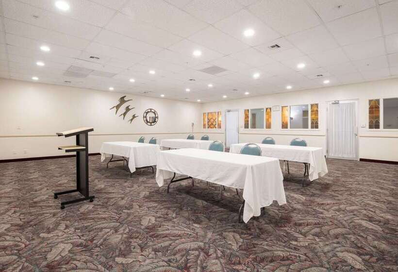 Hotel Quality Inn & Suites Lake Havasu City