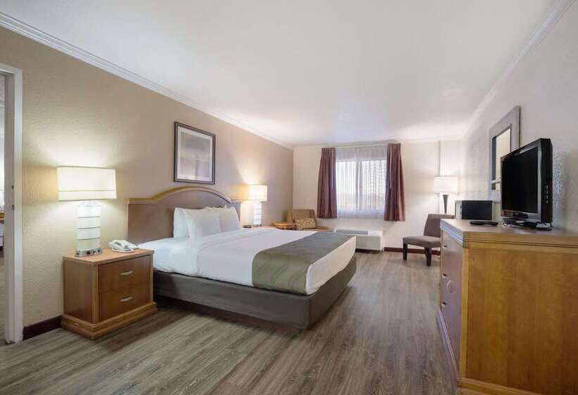 Hotel Quality Inn & Suites Lake Havasu City