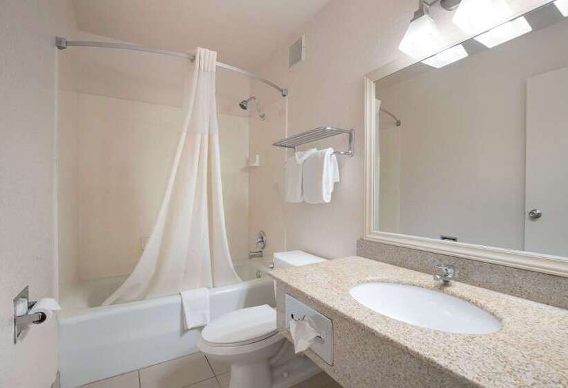 Hotel Quality Inn & Suites Lake Havasu City