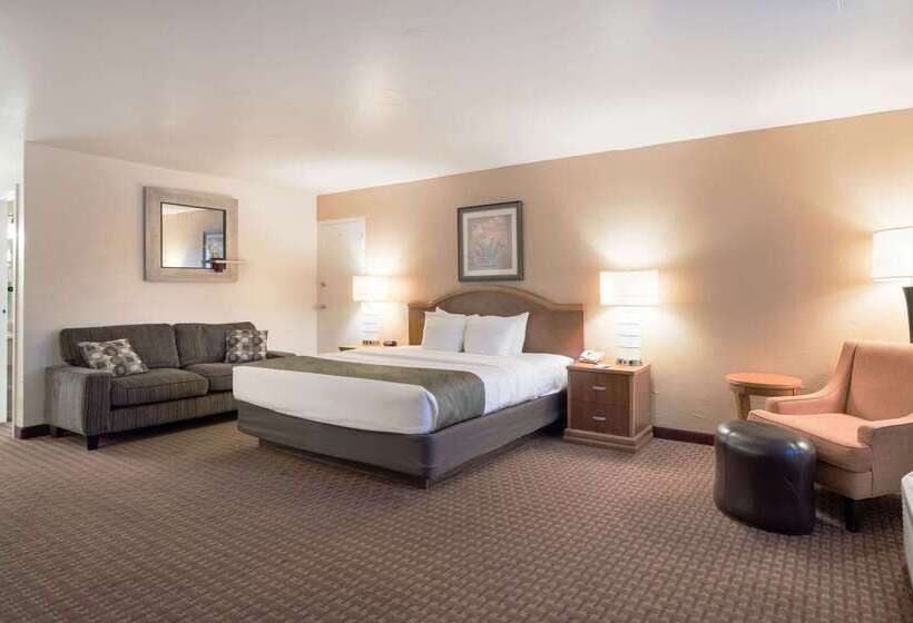 Hotel Quality Inn & Suites Lake Havasu City