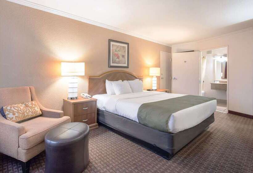 هتل Quality Inn & Suites Lake Havasu City