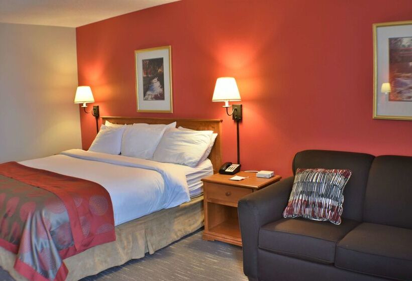 Hotel Ramada By Wyndham Sioux Falls Airport  & Suites