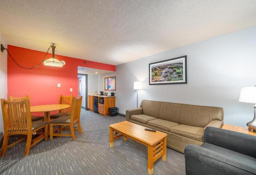 هتل Ramada By Wyndham Sioux Falls Airport   Waterpark Resort & Event Center