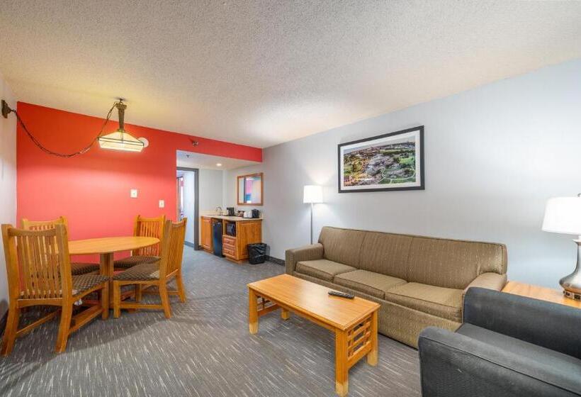 هتل Ramada By Wyndham Sioux Falls Airport  & Suites