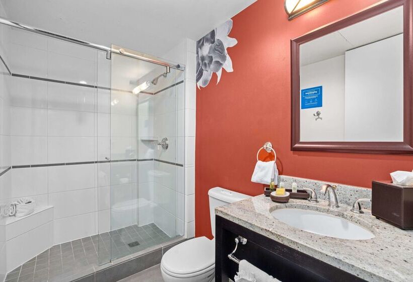 هتل The Emily Morgan San Antonio   A Doubletree By Hilton