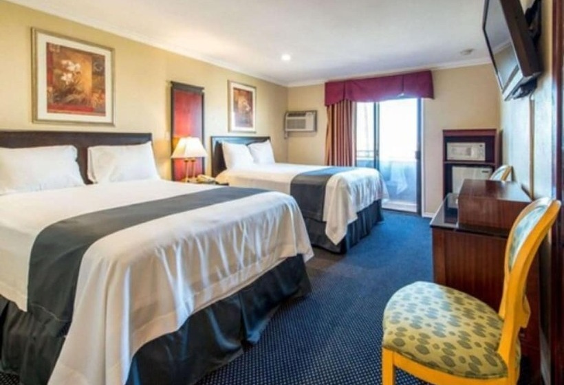 모텔 Queencity Inn