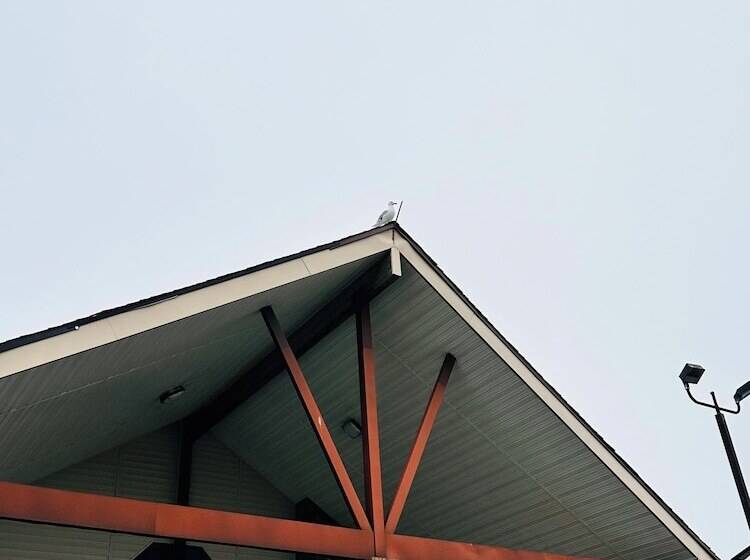 فندق Coratel Inn And Suites By Jasper Ocean Shores