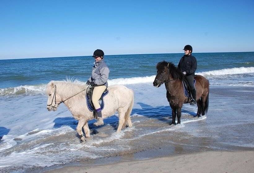 בית מלון כפרי Hytteby – Hanstholm Camping – Thy Feriepark