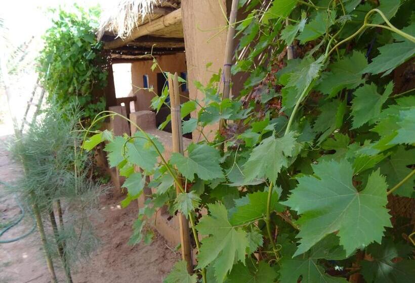 پانسیون Auberge Tigida
